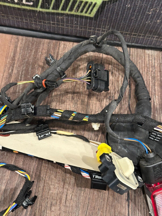 2018 AUDI R8 SPYDER PLUS PASSENGER RIGHT DOOR HARNESS 4S8 971 030 J 25 4S8971030