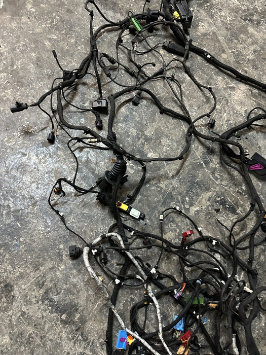 2012 2014 AUDI R8 5.2L V10 OEM MAIN BODY WIRE WIRING HARNESS COUPE 420971824