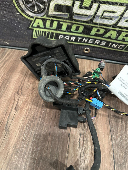 2018 AUDI R8 SPYDER PLUS PASSENGER RIGHT DOOR HARNESS 4S8 971 030 J 25 4S8971030