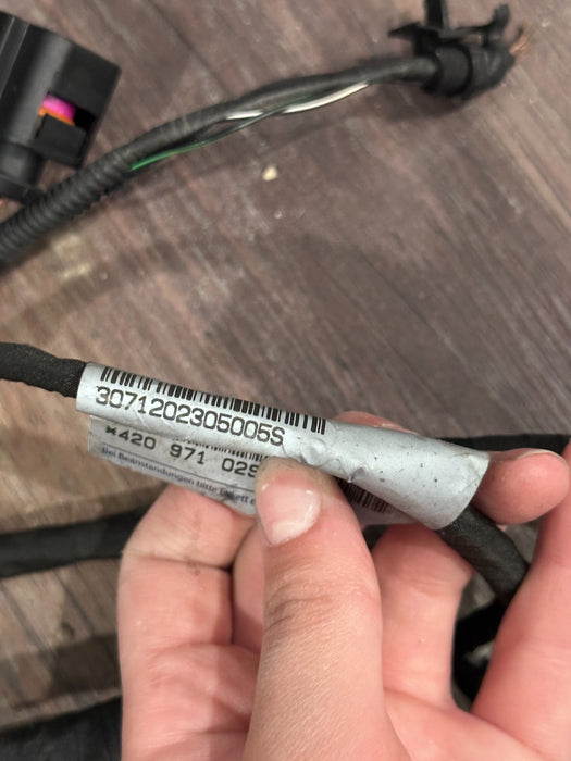 2012 AUDI R8 FRONT DRIVER LEFT DOOR WIRING HARNESS OEM 420 971 029 ~SNIPPED~