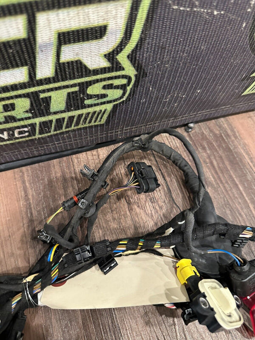 2018 AUDI R8 SPYDER PLUS PASSENGER RIGHT DOOR HARNESS 4S8 971 030 J 25 4S8971030