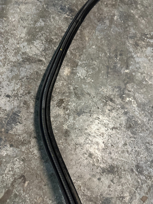 2020 BMW M4 F82 FRONT RIGHT DOOR WEATHERSTRIP SEAL OEM