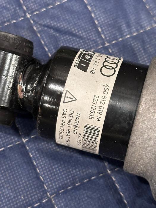 2017 2018 AUDI R8 PLUS FRONT REAR RIGHT LEFT SUSPENSION SHOCK ABSORBER STRUT