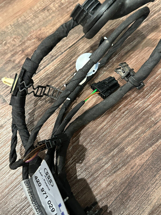 2012 AUDI R8 FRONT DRIVER LEFT DOOR WIRING HARNESS OEM 420 971 029