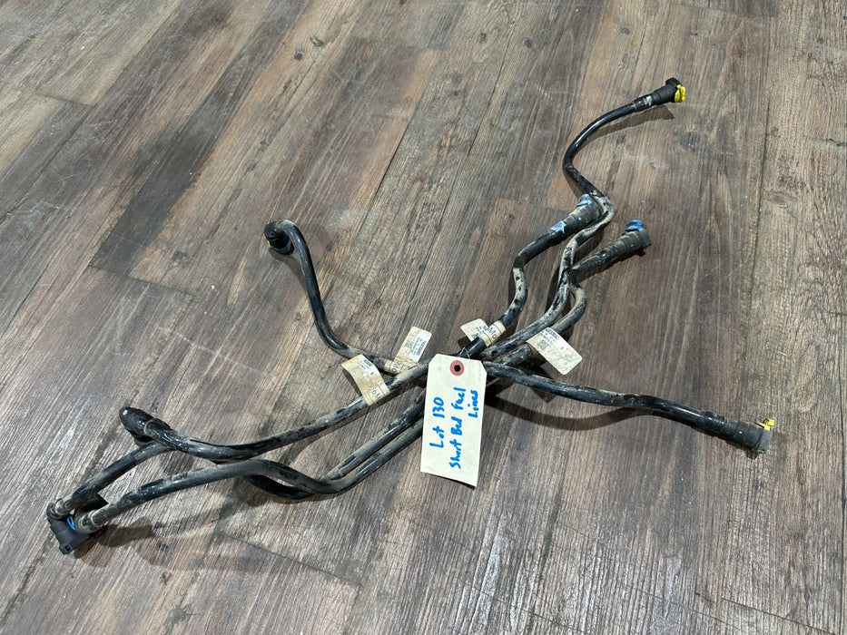2017-2019 FORD F250 F350 F450 SHORT BED FUEL LINES OEM