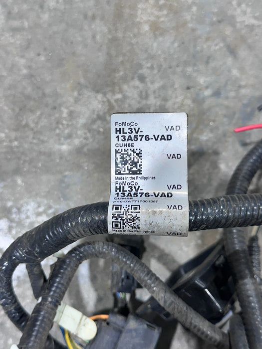 2019 FORD F150 RAPTOR REAR BUMPER WIRING HARNESS W SENSORS OEM HL3V-13A576-VAD