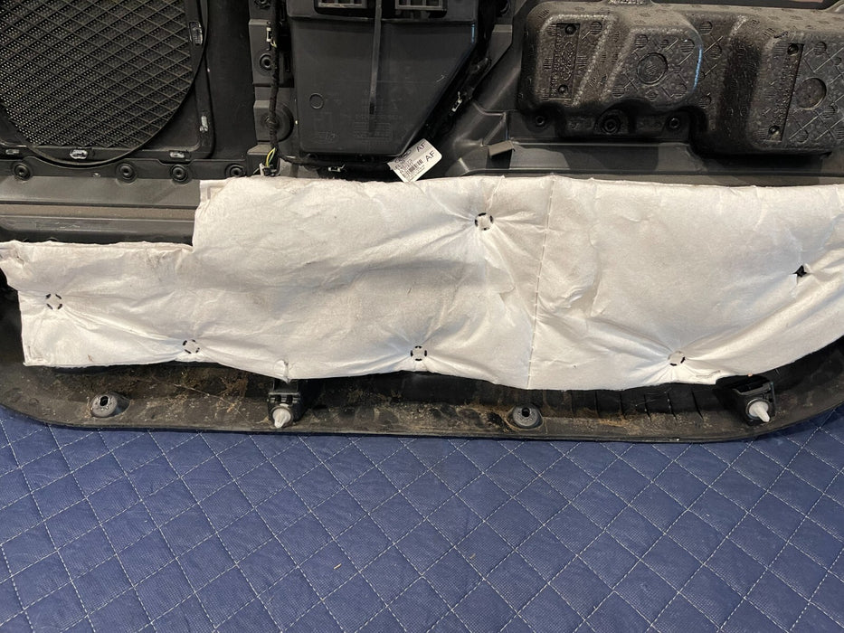2017-2019 FORD F250 F350 BLACK FRONT DRIVER LEFT DOOR PANEL OEM SCRATCHES