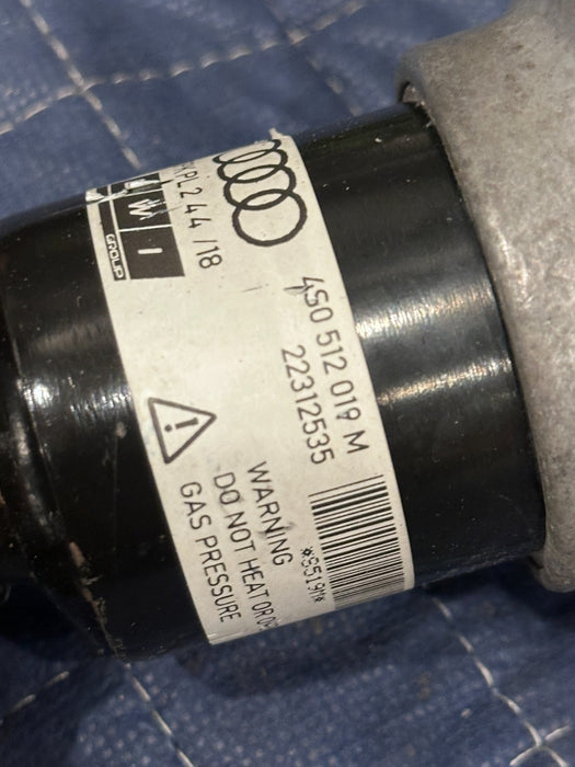 2017 2018 AUDI R8 PLUS REAR RIGHT SUSPENSION SHOCK ABSORBER STRUT 4S0 512 019 M