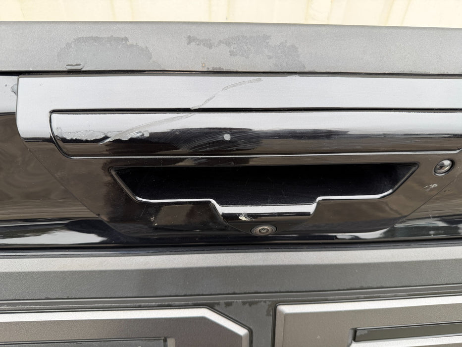 2019 FORD F150 RAPTOR REAR TAILGATE W STEP (G1) SHADOW BLACK OEM *FLAWS 8-11*