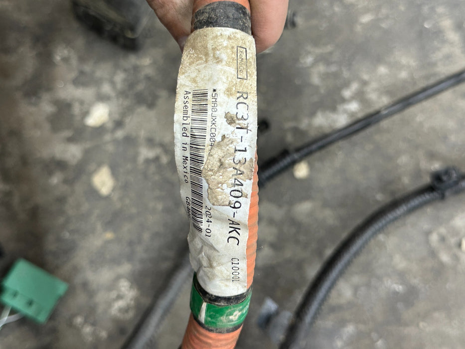 2023 2024 FORD F250 F350 BED TAIL LIGHT HARNESS OEM RC3T 13A409 AKC