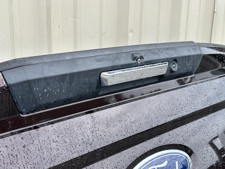 2018 FORD F250 F350 F450 LARIAT TAILGATE TAIL GATE MAGMA RED (E2) 2017-2022