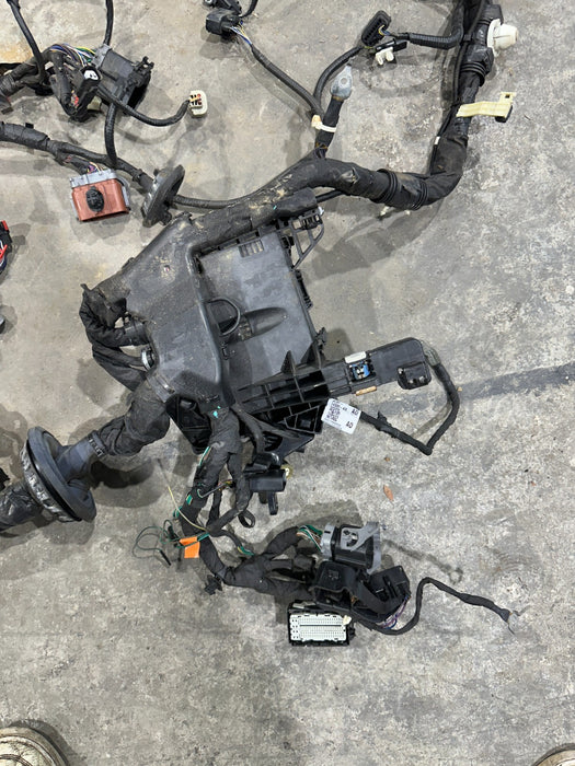 2019 FORD F150 3.5L RAPTOR ENGINE BAY & BATTERY WIRING HARNESS OEM KL3V-12A581-V