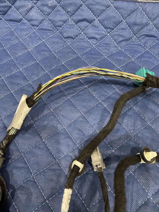 2019 FORD F250 PLATINUM  REAR PASSENGER RIGHT DOOR p  OEM