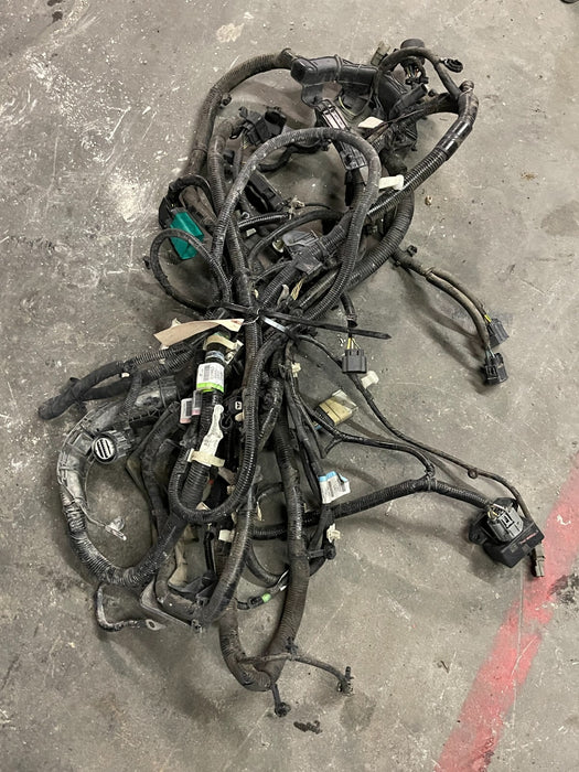 2018 FORD F250 LARIAT DRIVER FRAME WIRING HARNESS W CONNECTORS OEM