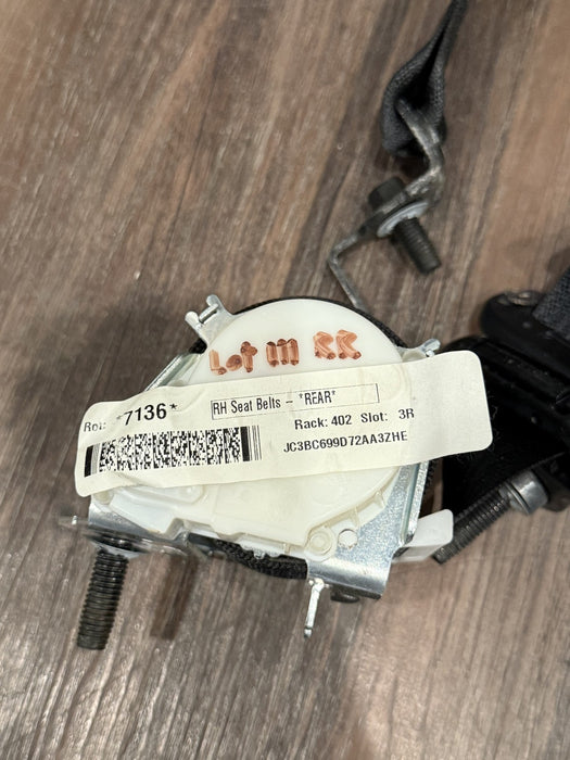 2017-2019 FORD F250 F350 F450 PLATINUM REAR LEFT RIGHT SEATBELT SET OEM