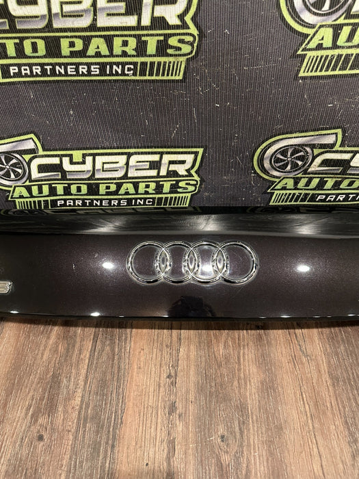 2014 AUDI R8 REAR UPPER COVER PANEL VELVET PURPLE OEM 420 807 649 C *SCRATCH 6*