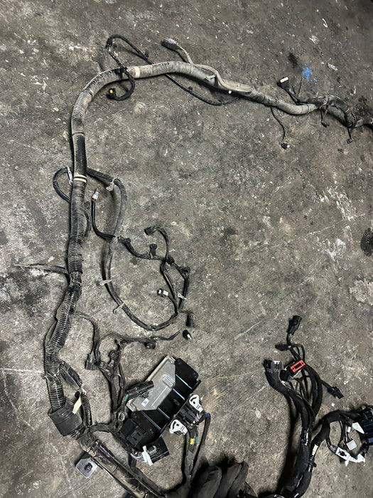 2024 FORD F350 LARIAT DIESEL ENGINE BAY WIRING HARNESS RC3T 12A581 ABA OEM