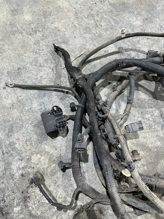 2017-2019 FORD F250 F350 F450 LEFT CHASSIS WIRING HARNESS OEM