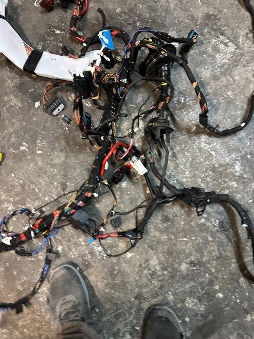 2015-2020 BMW M4 F82 COUPE DCT MAIN BODY CHASSIS WIRE HARNESS OEM 61112360338