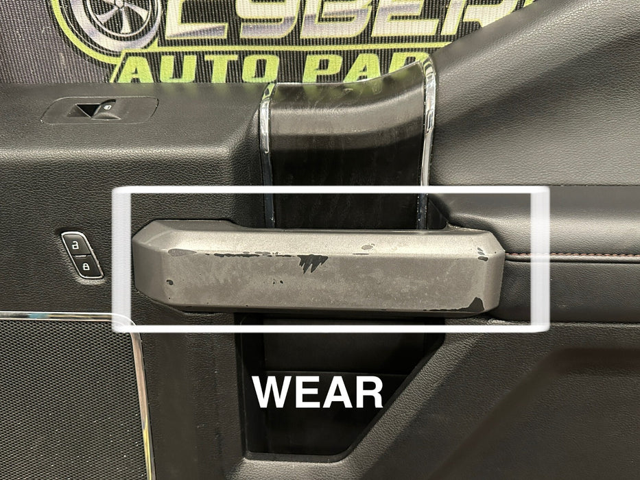 2017-2019 FORD 350 F450 PLATINUM FRONT PASSENGER RIGHT DOOR PANEL OEM *WEAR 5-9*