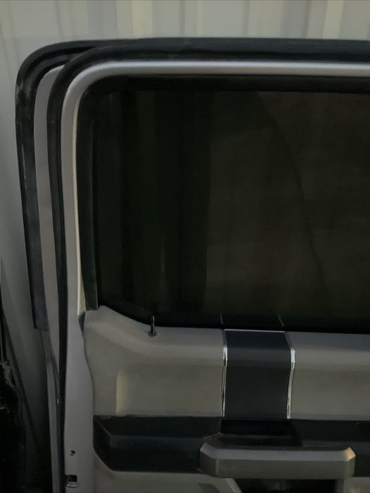 2017-2019 FORD F250 F350 F450 REAR DRIVER LEFT DOOR W/PANEL~MINOR COSMETIC~