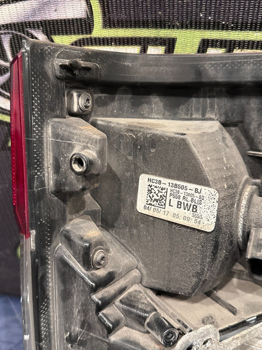 2017-2019 FORD F250 F350 F450 LEFT DRIVER HALOGEN BLISS TAIL LIGHT ASSEMBLY OEM