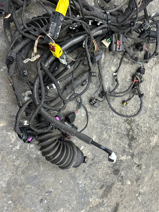 2014 AUDI R8 SPYDER FRONT FRUNK TUB HARNESS HARNESS ~CUT~