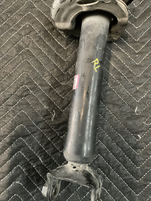 2016 INFINITI Q50 REAR LEFT DRIVER SIDE STRUT SPRING SHOCK ABSORBER OEM