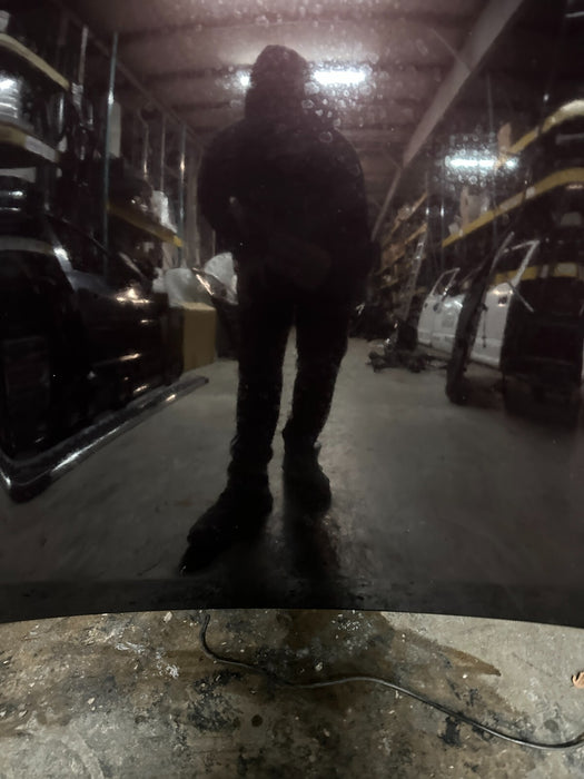 2010 NISSAN 370Z HOOD BLACK CHERRY ~NAG~ OEM LOCAL PICKUP ONLY! ~MINOR WEAR~