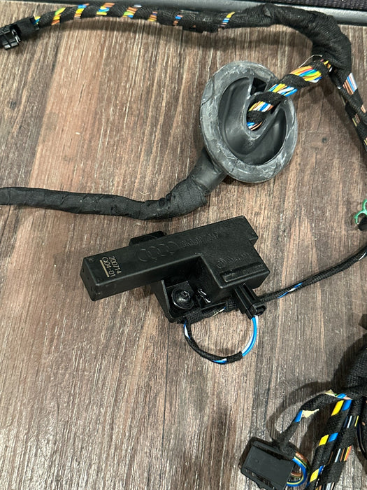 2021 AUDI R8 DRIVER LEFT DOOR WIRING HARNESS OEM 4S8 971 029 C