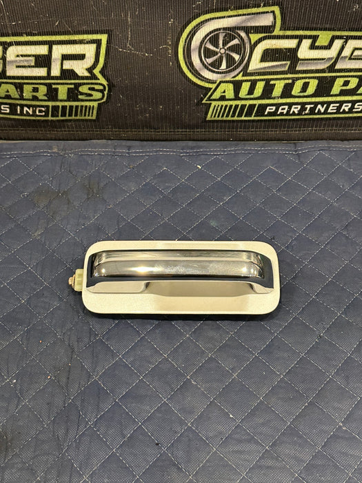 2017-2019 FORD F250 F350 REAR RIGHT DOOR HANDLE METALLIC WHITE (UG) OEM