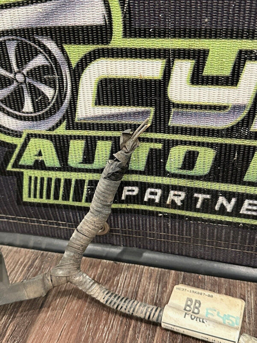 2017-2019 FORD F250 F350 F450 FRONT BUMER HARNESS OEM HC3T-15K867-BB (2 PLUGS)