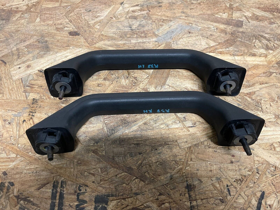 2017 2018 2019 FORD F250 F350 INTERIOR ROOF GRAB HANDLE SET OEM