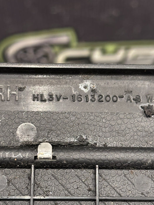 2017-2022 FORD F250 F350 F450 PLATINUM KICK PLATE PANEL PAIR OEM *SCUFFS/WEAR*