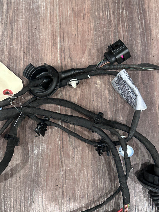 2012 AUDI R8 FRONT DRIVER LEFT DOOR WIRING HARNESS OEM 420 971 029 ~SNIPPED~