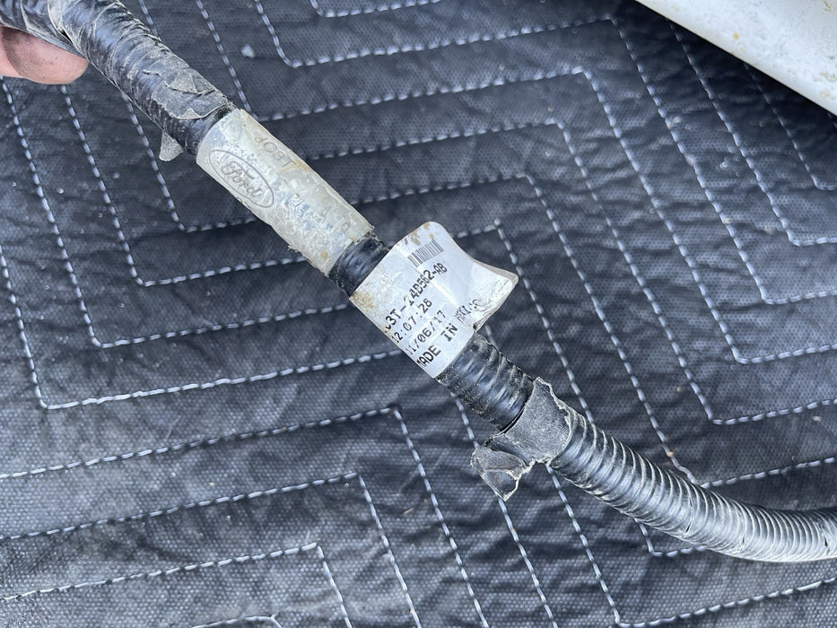 2017 2018 2019 FORD F250 F350 F450 PLATINUM TAILGATE W/ STEP METALLIC WHITE (UG)