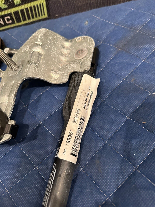 2018-2019 FORD F250 F350 F450 LIMITED BROWN FRONT PASSENGER RIGHT SEATBELT OEM