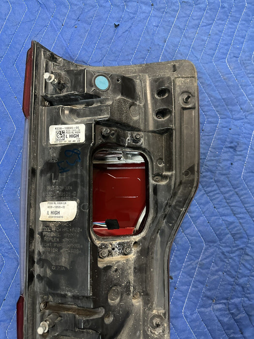 2017-2019 FORD F250 F350 F450 DRIVER LEFT BLISS LED TAIL LIGHT OEM *CHIPPED*