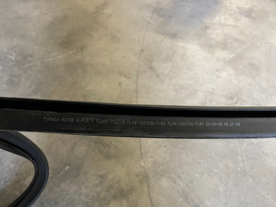2019 FORD F250 F350 F450 FRONT DRIVER LEFT WEATHERSTRIP TRIM OEM