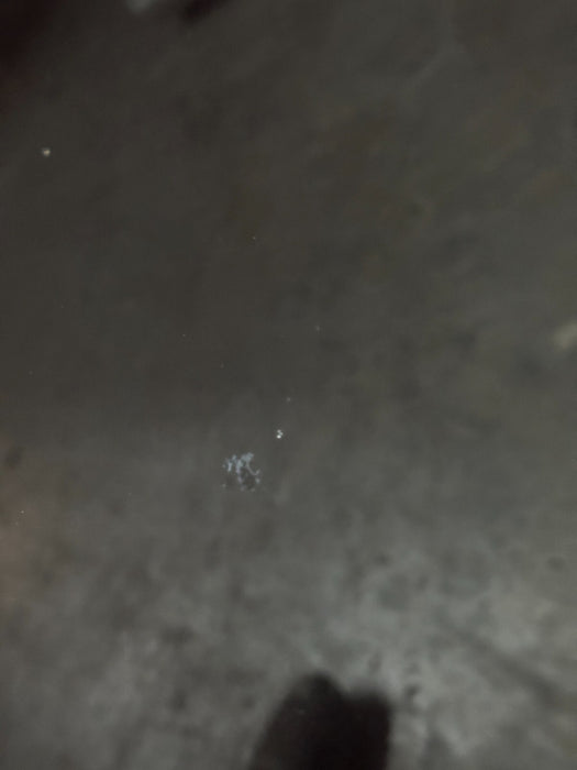 2010 NISSAN 370Z HOOD BLACK CHERRY ~NAG~ OEM LOCAL PICKUP ONLY! ~MINOR WEAR~