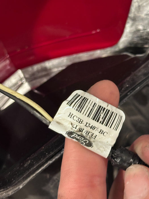 2017-2019 FORD F250 F350 F450 LEFT DRIVER HALOGEN BLISS TAIL LIGHT ASSEMBLY OEM