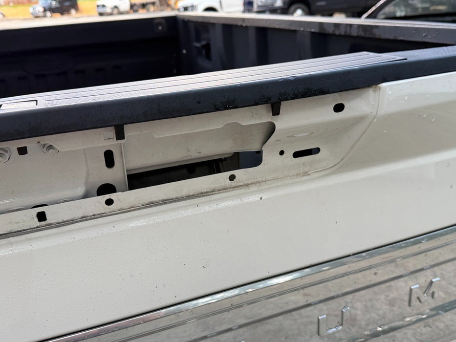 2020 2021 2022 FORD F250 F350 F450 PLATINUM TAILGATE W/ STEP STAR WHITE OEM