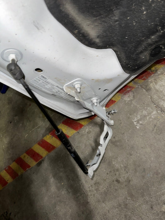 2017 2018 2019 2020 2021 2022 FORD F250 F350 450 METALLIC WHITE HOOD PANEL