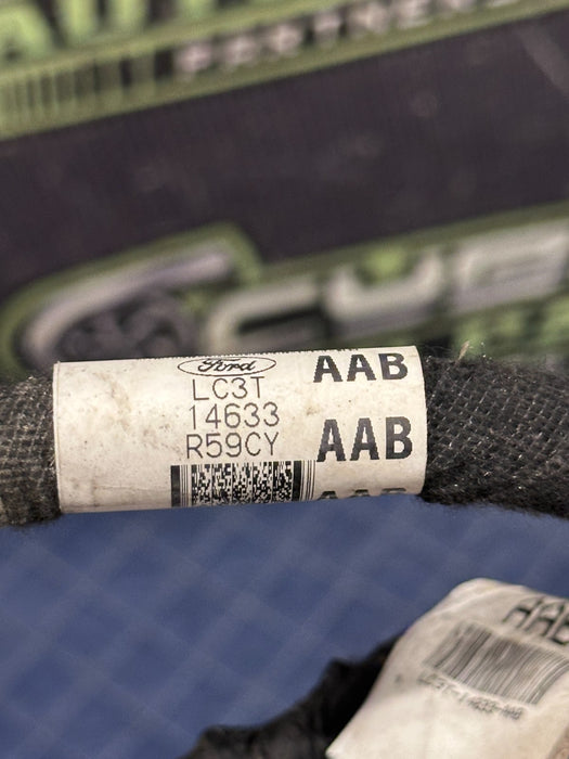 2020 FORD F450 PLATINUM REAR LEFT DRIVER SIDE DOOR HARNESS LC3T-14632-AAB