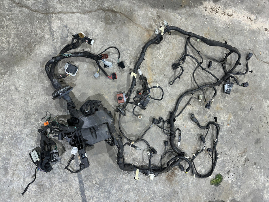 2019 FORD F150 3.5L RAPTOR ENGINE BAY & BATTERY WIRING HARNESS OEM KL3V-12A581-V