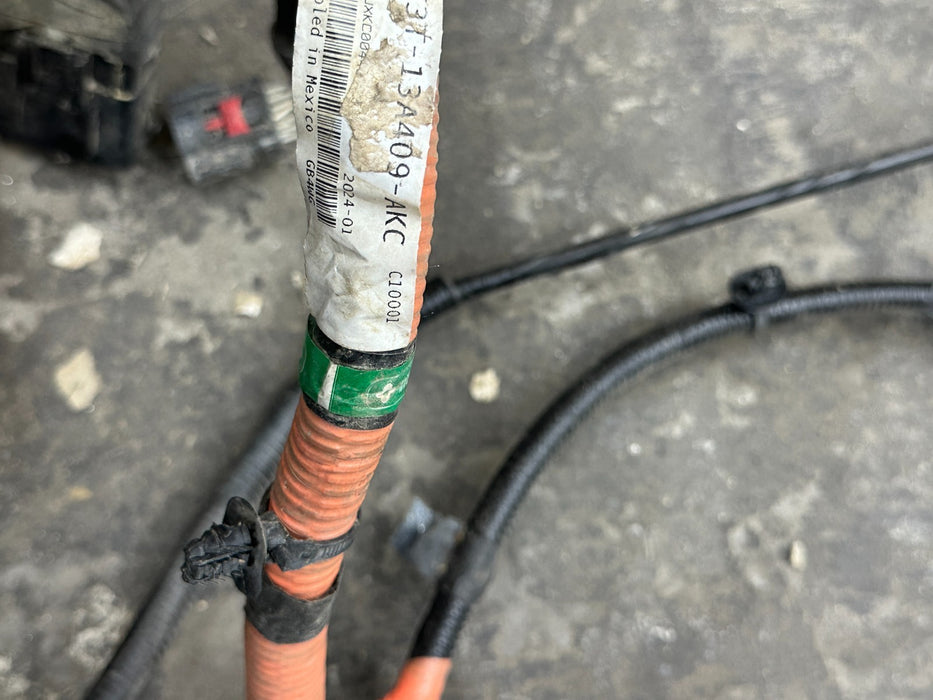 2023 2024 FORD F250 F350 BED TAIL LIGHT HARNESS OEM RC3T 13A409 AKC