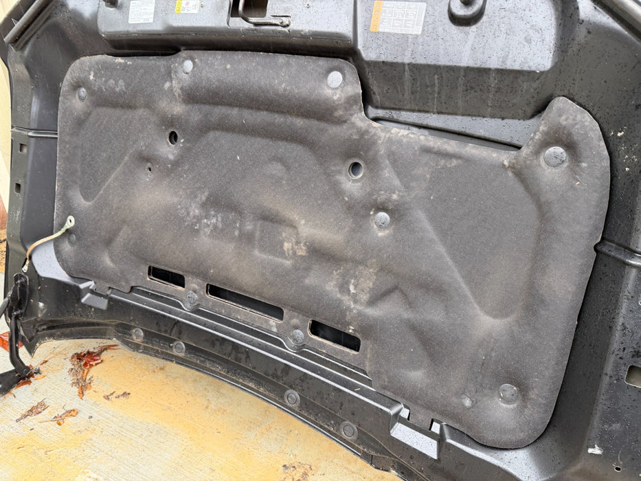 2019 FORD F150 RAPTOR HOOD ASSEMBLY BLACK COMPLETE TAKE OFF 2017-2020