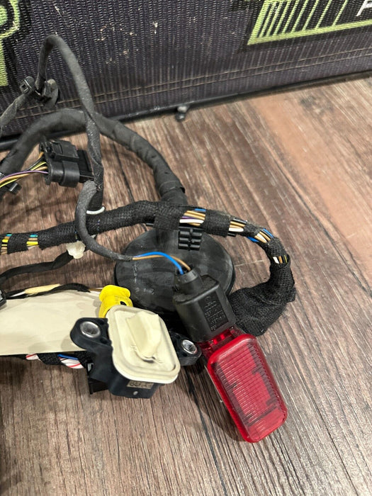 2018 AUDI R8 SPYDER PLUS PASSENGER RIGHT DOOR HARNESS 4S8 971 030 J 25 4S8971030