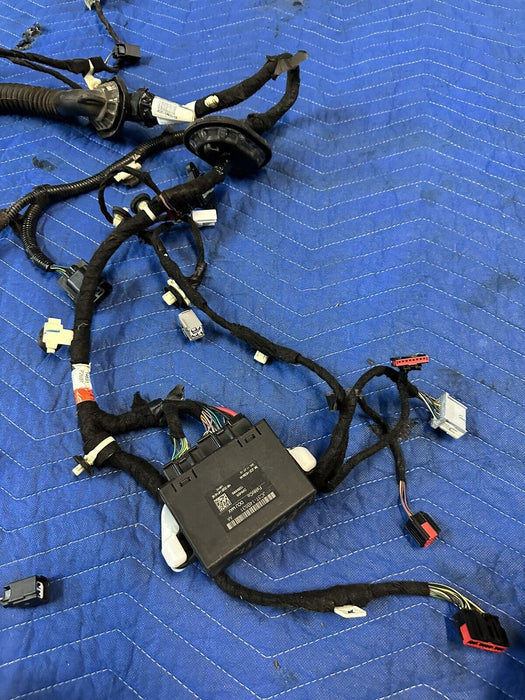 2017-2019 FORD F250 F350 PLATINUM FRONT LEFT DOOR HARNESS OEM JC3T-14631-CA