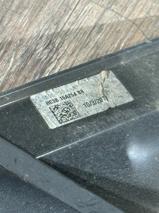 2017-2019 FORD F250 F350 FRONT PASSENGER RIGHT FOG LIGHT W BEZEL OEM